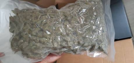 Vier kilo hennep aangetroffen in woning in Roosendaal, twee mannen aangehouden 