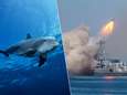 Rusland stationeert ‘oorlogsdolfijnen’ in ander deel Zwarte Zee om zich te verweren tegen Oekraïense special forces 