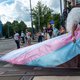 Mannelijke captains of industry gaan zich heus niet massaal als vrouw registreren om een vrouwenquotum te ontduiken