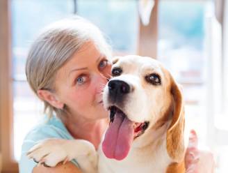 Studie bewijst: hondenbaasjes leven langer