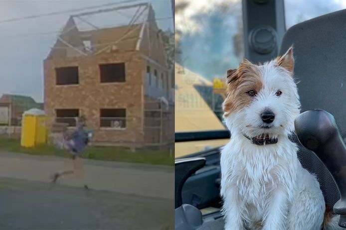 De man (L) die hondje Dribbel (R) doodstak, verdedigt zich via zijn advocate.