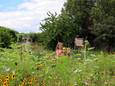 Tuin Buytenhof.