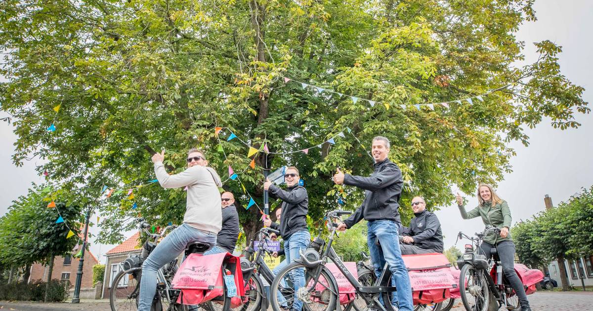 Oudelande in de race voor boom van het jaar: 'Niks lelijks aan, precies zoals een kastanjeboom moet 