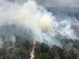 Unesco-werelderfgoed gaat op in rook: Australische Fraser Island verwoest door bosbranden