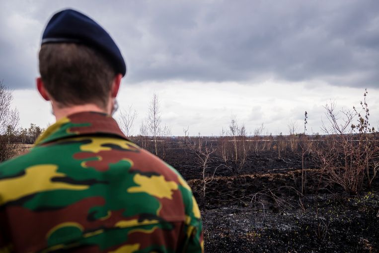 Bij de brand op het groot schietveld in Brecht, in april 2021, ging 570 hectare natuur in de vlammen op.  Bio-ingenieur Jan Baetens (UGent): ‘Krijgen we in ons land op meerdere locaties een bosbrand, dan is er een groot probleem. België heeft één blushelikopter.’ Beeld Gregory Van Gansen / Photo News