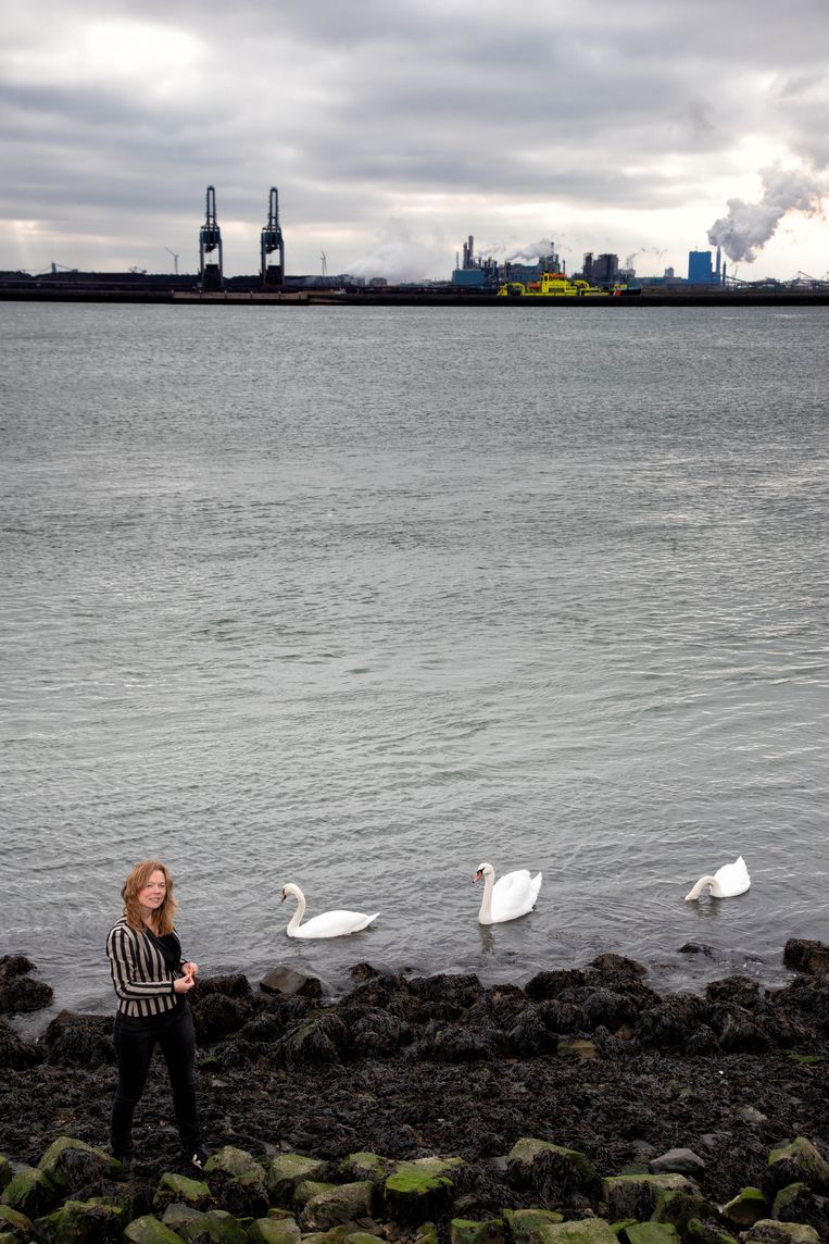 Een dagtaak aan protesteren: ‘Onze leefomgeving wordt zonder respect ...