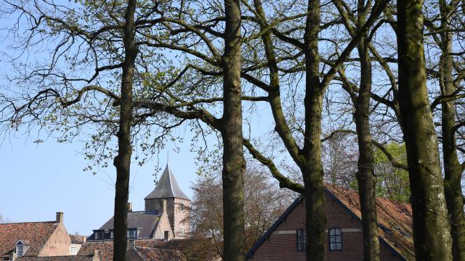 Corona bij medewerker Sint-Catharinadal, zusters in quarantaine