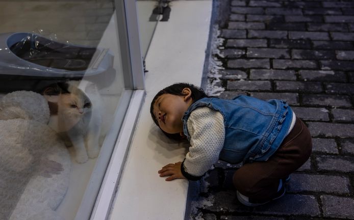 Een babymeisje kijkt naar een kat in een kattencafé in Shanghai.