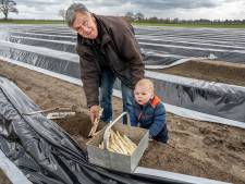 Te koud voor asperges? Bij René liggen ze al op het bord