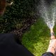 Droogtecommissie waarschuwt dat maatregelen in september onafwendbaar worden