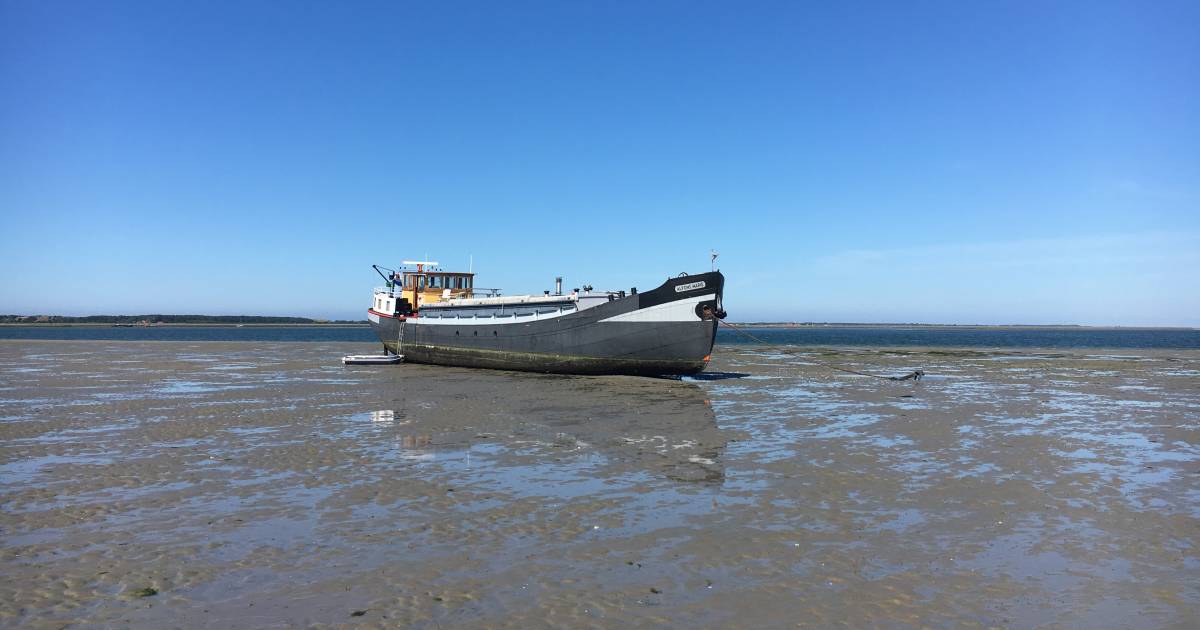 Zeeland, gezien vanaf een klipper de jaren na de ramp gaan leven in
