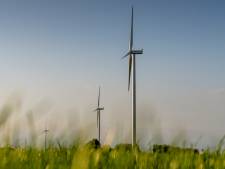Minder hinder door verlichting windmolens bij Zaltbommel: knipperlicht verdwijnt
