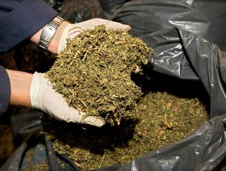Bijna anderhalve kilogram cannabis ontdekt in huis in Brecht