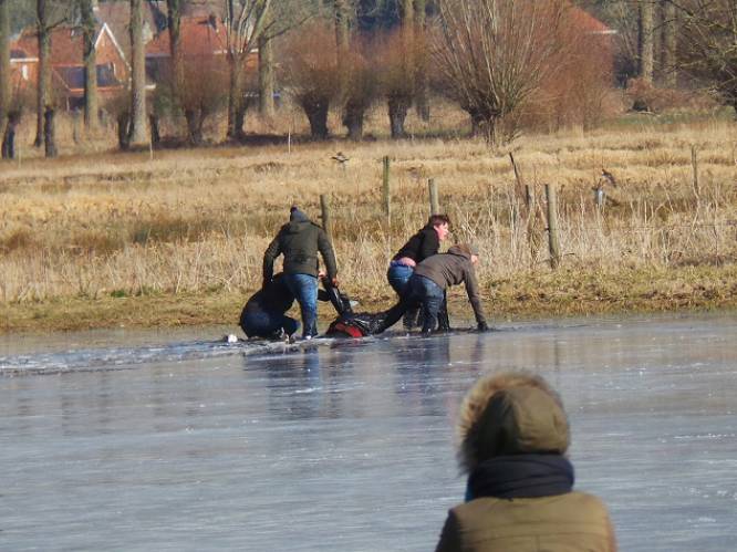 Drama in Brugge: man (74) door het ijs gezakt, nog steeds in levensgevaar na operatie