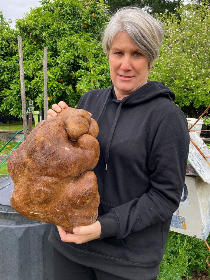 Donna Craig-Brown houdt ‘Dug the Spud’ vast in de tuin van haar kleine boerderij in de buurt van Hamilton, Nieuw-Zeeland.