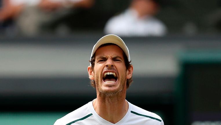 Andy Murray op Wimbledon. Beeld afp