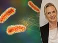 Microbioloog Aurélie Crabbé (UGent) over de Pseudomonas-bacterie: “Sommige besmette wonden kunnen zelfs fluoresceren.”