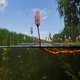 Ruimhartige toelating van landbouwgif bedreigt het waterleven, waarschuwen milieuorganisaties