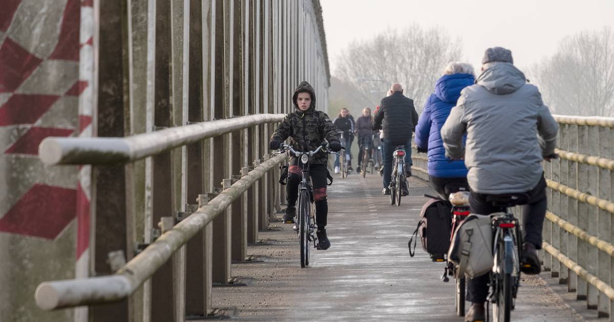 De verlengde Maasbrug bij Oeffelt krijgt straks wél een breed fietspad