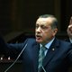 'Erdogan is niet uit op een vaderrol voor álle Turken'