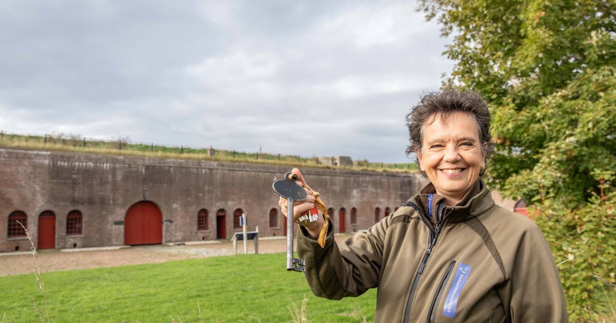 Fort te huur bij Ellewoutsdijk: je moet wel de kakdozen en muurschilderingen met rust laten - Provin
