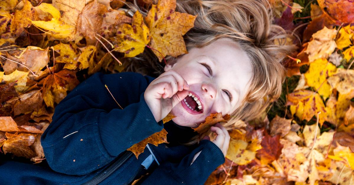 Herfstvakantie wat is er te doen in Enschede? Enschede AD.nl