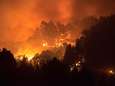 Dorp en luxe hotel Gran Canaria ontruimd na nieuwe bosbrand