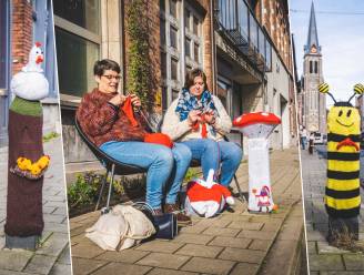 Een kip met kuikens, een paddenstoel of een bij... buurvrouwen Veerle (56) en Véronique (60) fleuren paaltjes in hun straat op