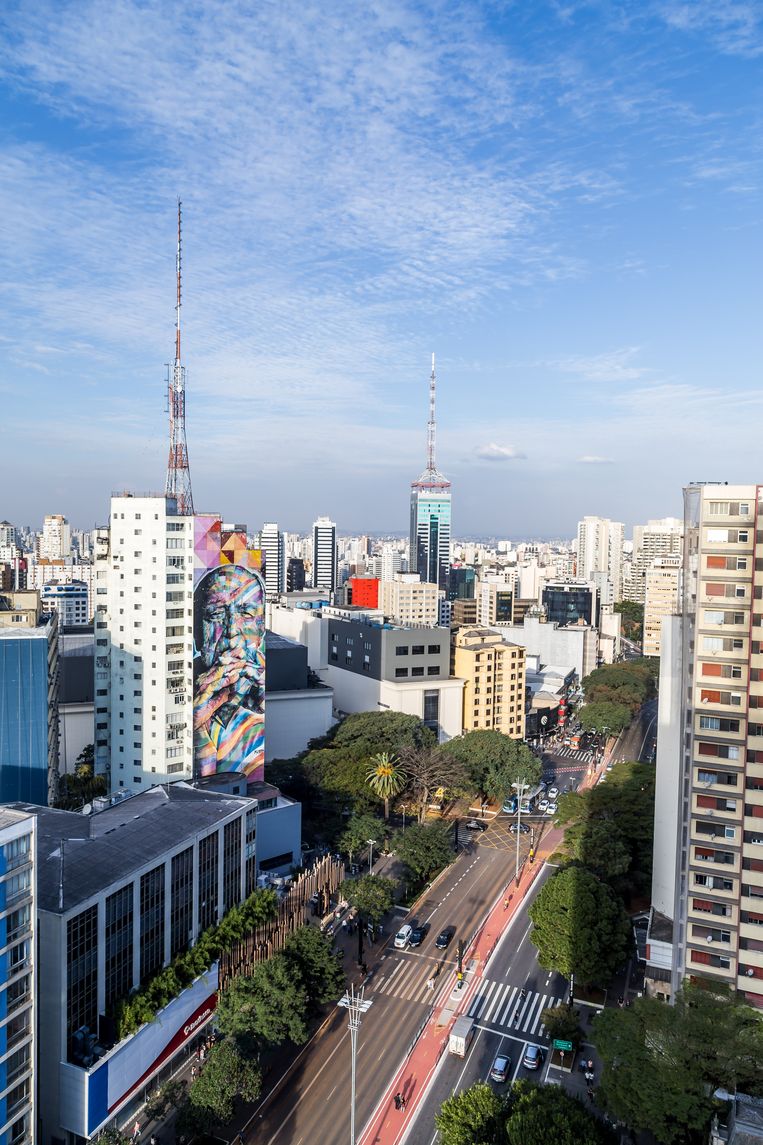 São Paulo is een betonwoestijn, totdat