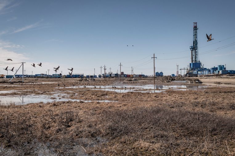 Gasveld op het Russische Yamal-peninsula.  Beeld Yuri Kozyrev/ Noor