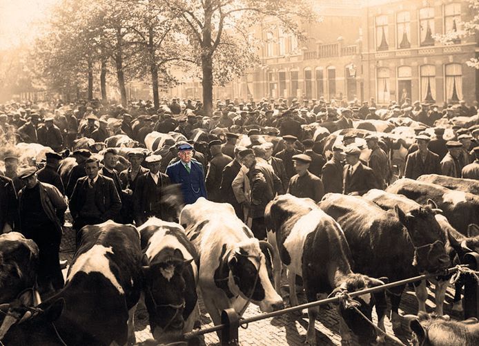 Na twee jaar afwezigheid gaat aankomend jaar de Nijkerkse feestdag Boerenmaandag weer door.