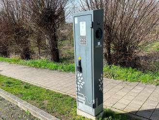 Dit jaar van 34 naar meer dan 40 (semi-)publieke laadpalen én er komt een laadpalenkaart