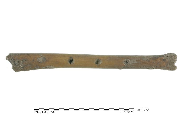Benen fluit, gevonden in een tiende eeuwse waterput en vervaardigd uit het bot van een grote vogel