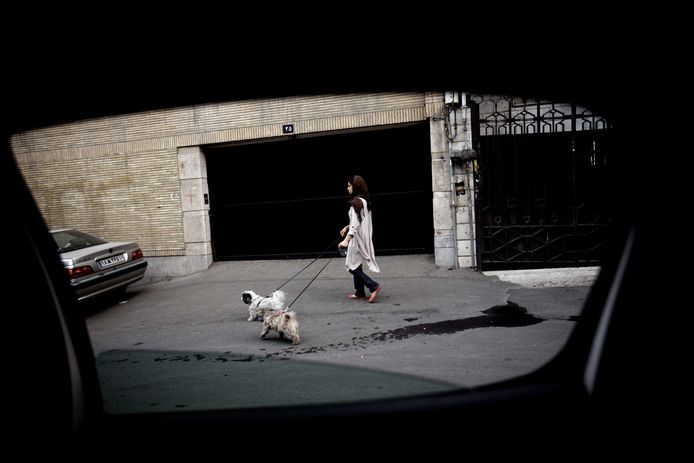 Een vrouw wandelt in de hoofdstad Teheran met haar hondjes.