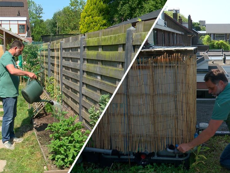 Op deze manier hergebruikt Tijs zijn regenwater: 'Bewust met water omgaan'
