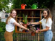 Planten, zaden en stekjes: Geen boeken maar groen uitwisselen in de uitleenkastjes