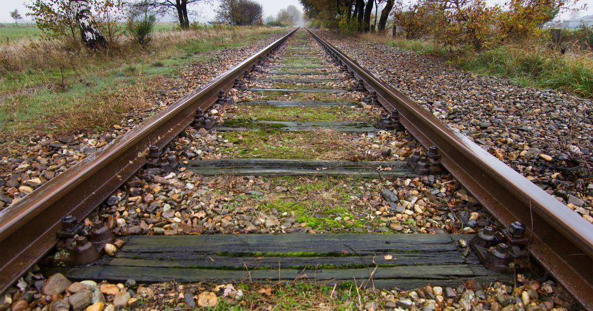 brandbrief provincies en noordrijn westfalen betere en snellere trein tussen arnhem en berlijn arnhem e o gelderlander nl