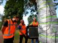 Zelfs in buitenland is interesse: hoe Marc doodzieke bomen redt door ze op te warmen