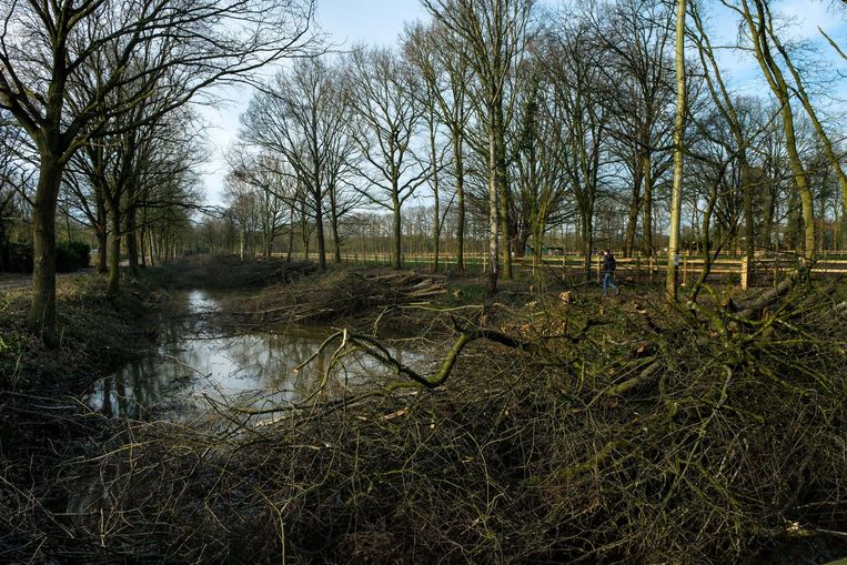 Eén groot natuurpark dat Groot Schietveld, Klein ...