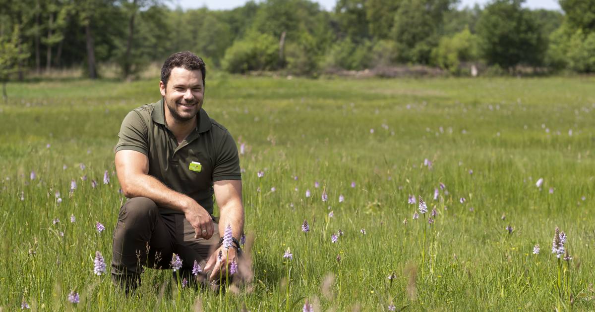 Met uitsterven bedreigde orchissen bloeien in deze regio volop: Alleen kijken, niet aankomen! - Tuba