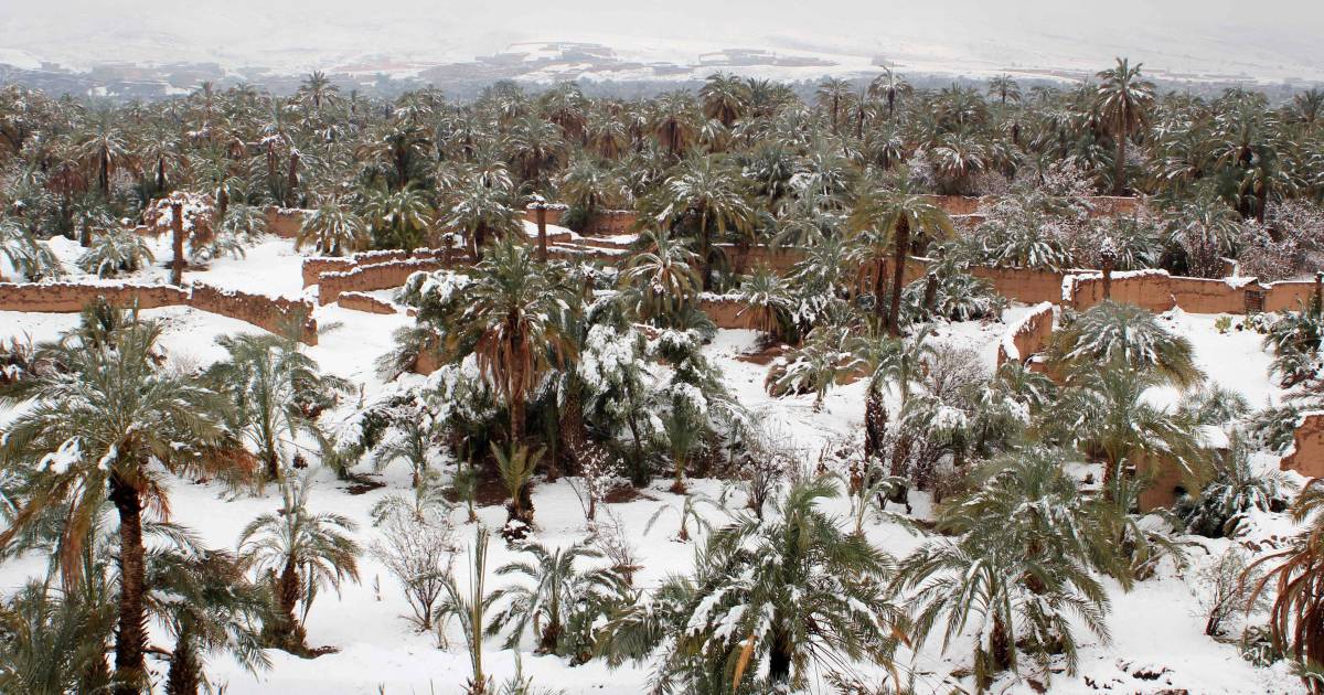 It can reach -8 degrees … in Morocco |  Abroad