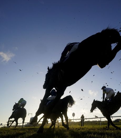 Un cheval cloné ouvre un nouvel avenir pour les sports équestres en Chine