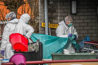 Didammer opgepakt voor moord in Den Hoorn