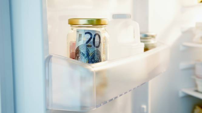 Loont het om meer te betalen voor een energiezuinige koelkast? Dit bespaar je ieder jaar aan stroom