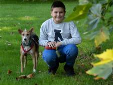 ‘Bekuifde hond’ Raissa uit Tolkamer grijpt naast titel Huisdier van het Jaar: ‘Maar voor ons altijd de leukste’