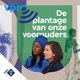 Drie podcasts over het slavernijverleden