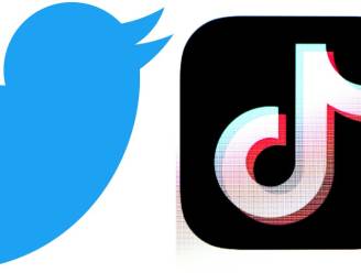 'Twitter en TikTok voerden gesprekken over mogelijke combinatie'