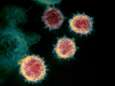 Inlichtingendiensten VS: “Coronavirus niet door mens gemaakt of genetisch gewijzigd, mogelijk wel resultaat van ongeluk in Chinees lab”