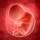 Volkskrant Ochtend: De medicijntest die 19 dode baby’s opleverde | Hoe blijf je als Tourfotograaf origineel?