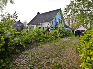 Stormschade in Brabant: bomen vallen op auto's en huizen, explosie door blikseminslag